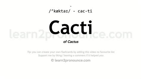cacti pronunciation